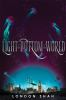 Book cover for "The light at the bottom of the world"