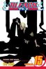 Book cover for "Bleach".