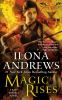 Book cover for "Magic rises".