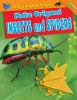 Book cover for "Make origami insects and spiders"