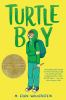 Book cover for "Turtle boy"