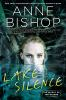 Book cover for "Lake Silence".