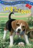 Book cover for "Lucy on the loose".