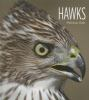 Book cover for "Hawks".
