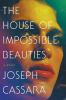 Book cover for "The house of impossible beauties"