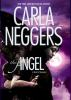 Book cover for "The angel".