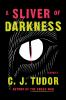 Book cover for "A sliver of darkness"