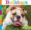 Book cover for "Bulldogs".