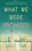 Book cover for "What we were promised"