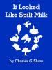 Book cover for "It looked like spilt milk"