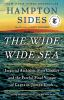 Book cover for "The wide wide sea"