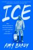 Book cover for "Ice"