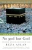 Book cover for "No god but God"