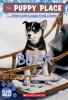 Book cover for "Bear"