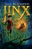 Book cover for "Jinx"