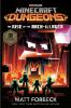 Book cover for "Minecraft dungeons".