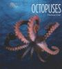 Book cover for "Octopuses".