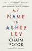 Book cover for "My name is Asher Lev"