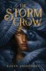 Book cover for "The storm crow".