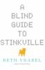 Book cover for "A blind guide to Stinkville"