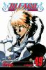 Book cover for "Bleach".