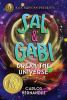Book cover for "Sal and Gabi break the universe"