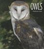 Book cover for "Owls".