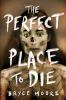 Book cover for "The perfect place to die".
