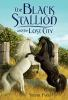 Book cover for "The Black Stallion and the lost city".