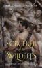 Book cover for "The sorcerer of the Wildeeps"