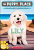 Book cover for "Lily".