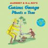 Book cover for "Curious George plants a tree".