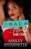 Book cover for "The prada plan 2".