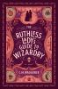 Book cover for "The ruthless lady's guide to wizardry"