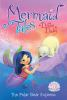 Book cover for "The polar bear express".