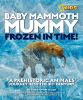 Book cover for "Baby mammoth mummy".