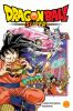 Book cover for "Dragon Ball super".