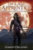 Book cover for "Grimalkin, the witch assassin".