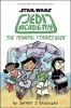 Book cover for "Jedi Academy".