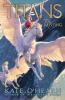Book cover for "The missing".
