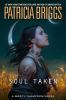 Book cover for "Soul taken".