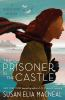 Book cover for "The prisoner in the castle".