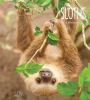 Book cover for "Sloths".