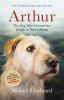 Book cover for "Arthur"