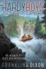 Book cover for "The madman of Black Bear Mountain".