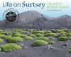 Book cover for "Life on Surtsey, Iceland's upstart island".