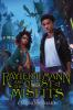 Book cover for "Rayleigh Mann and the quest of misfits".