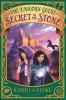 Book cover for "Secret in the stone".