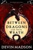 Book cover for "Between dragons and their wrath"
