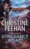 Book cover for "Vengeance road".